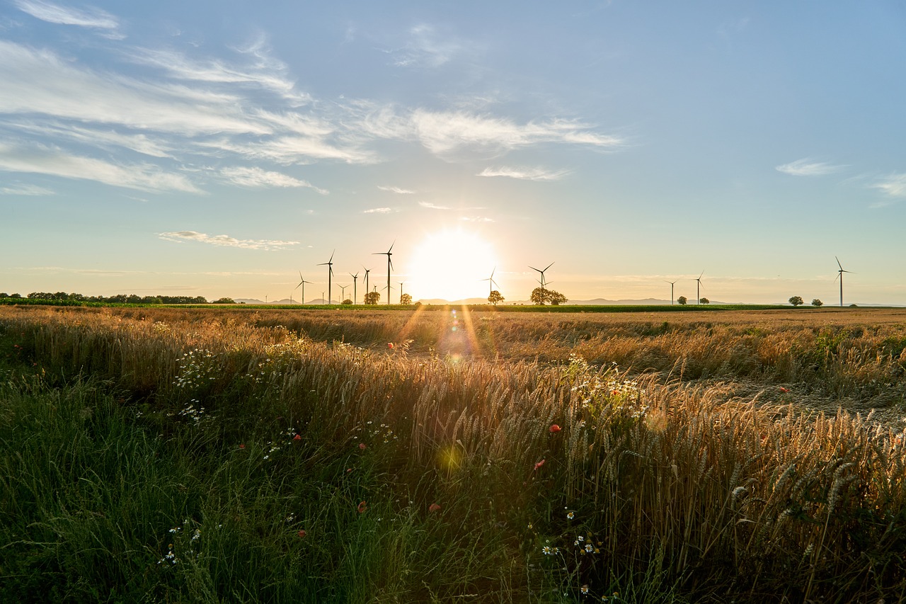 How Green Energy Solutions Are Making A Difference